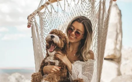 Our furry friends and faithful companions