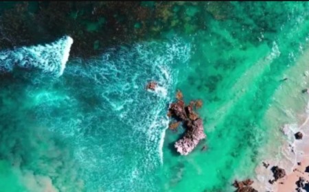 Where the Ocean Breathes in Green