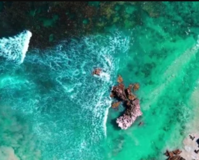 Where the Ocean Breathes in Green